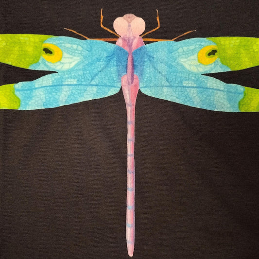 Colorful dragonfly design on a black background