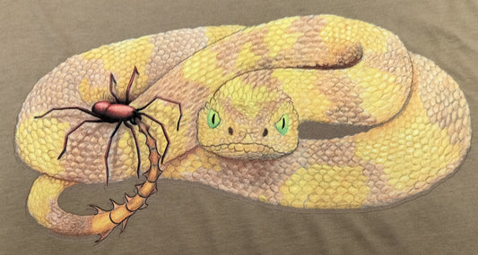Illustration of a Spider Tailed Horned Viper against a brown background
