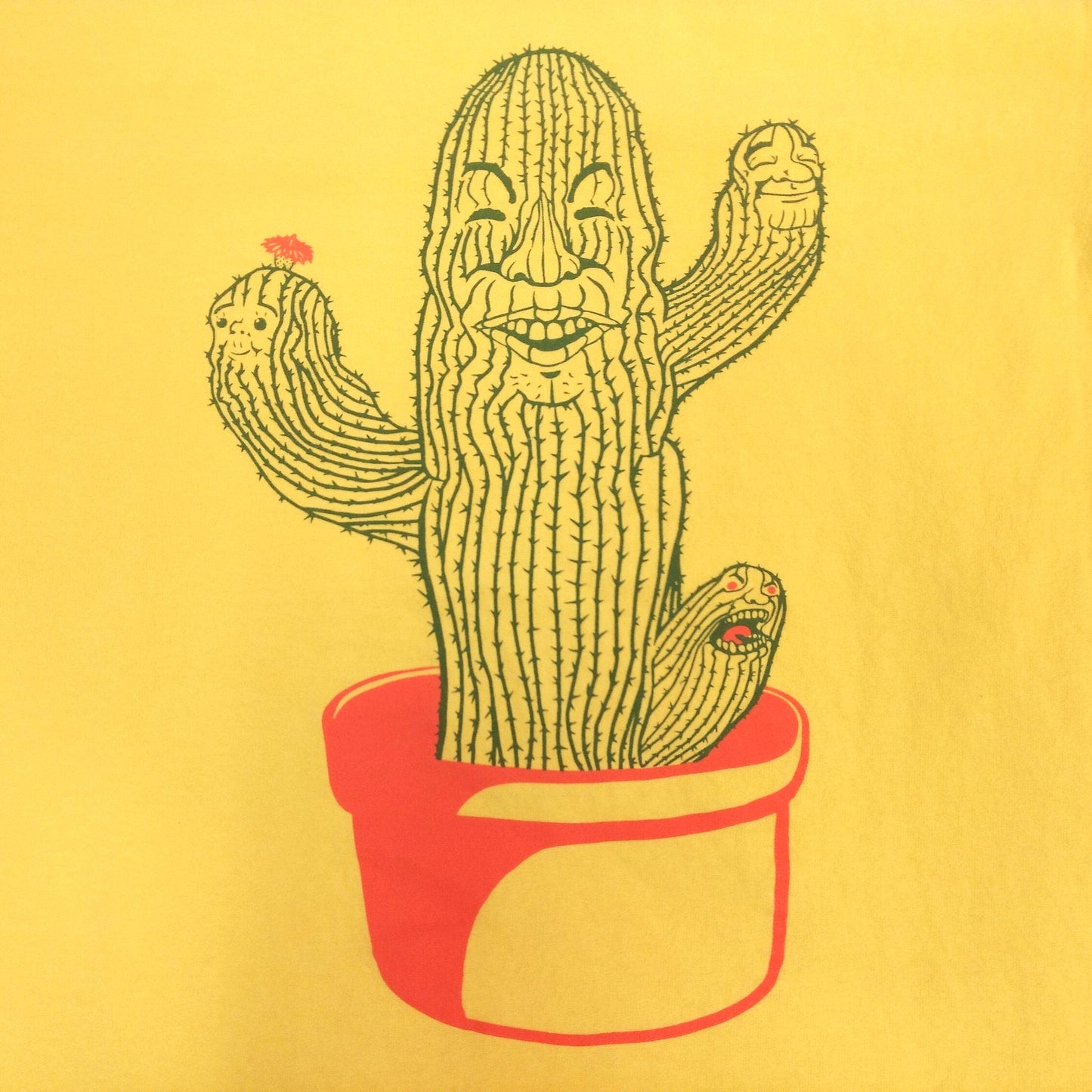Cactus Refractus